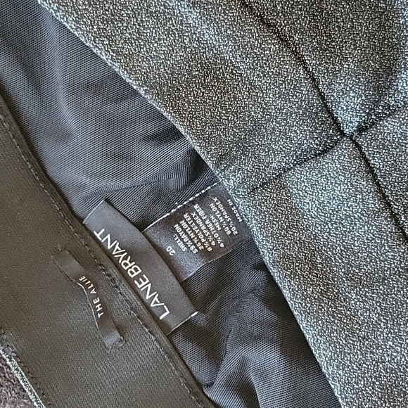 Sz20 Lane Bryant *Sparkle* "Allie" ankle pant - Picture 2 of 4